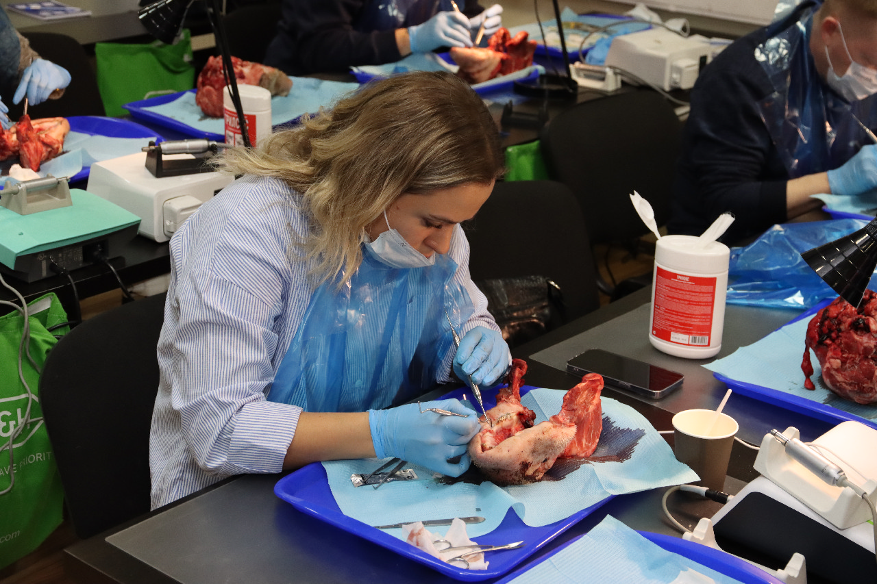 Продвинутый курс по пластике мягких тканей