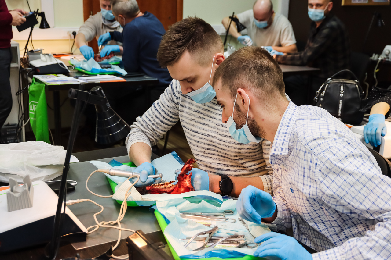 Виталий Панцулая: одномоментная имплантация и немедленная нагрузка