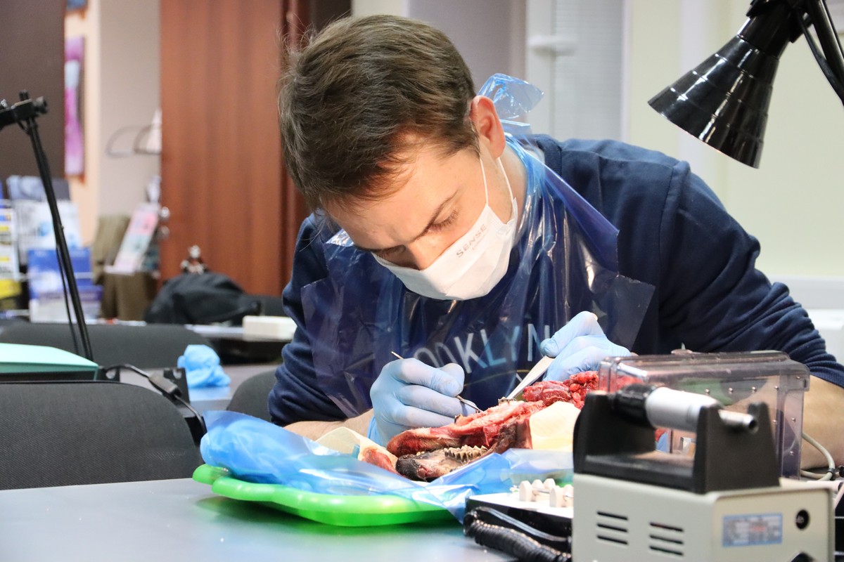 Одномоментная имплантация и немедленная нагрузка