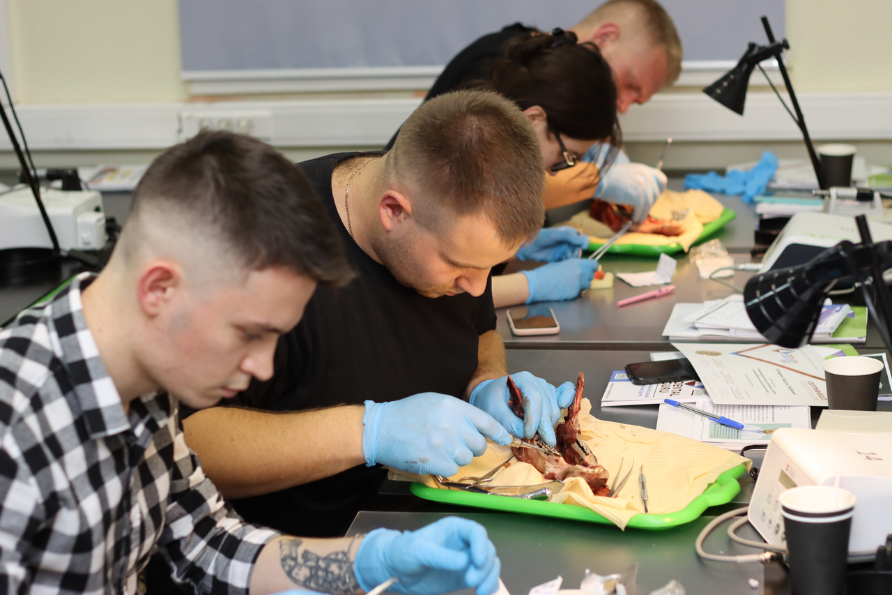 Атравматичное удаление зубов и методики наложения швов