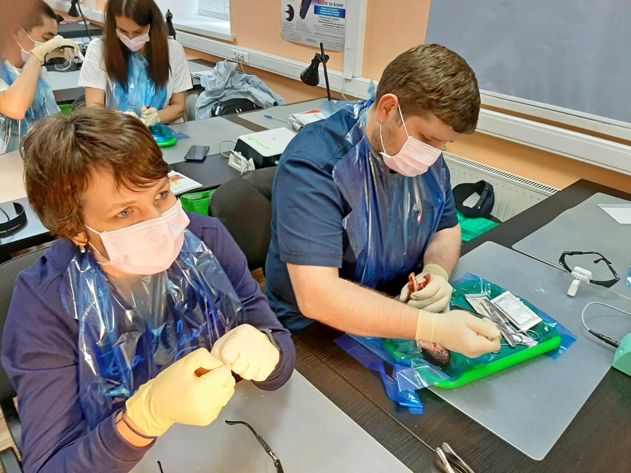 Атравматичное удаление зубов и методики наложения швов. Пост-релиз офлайн курса 23 июня.