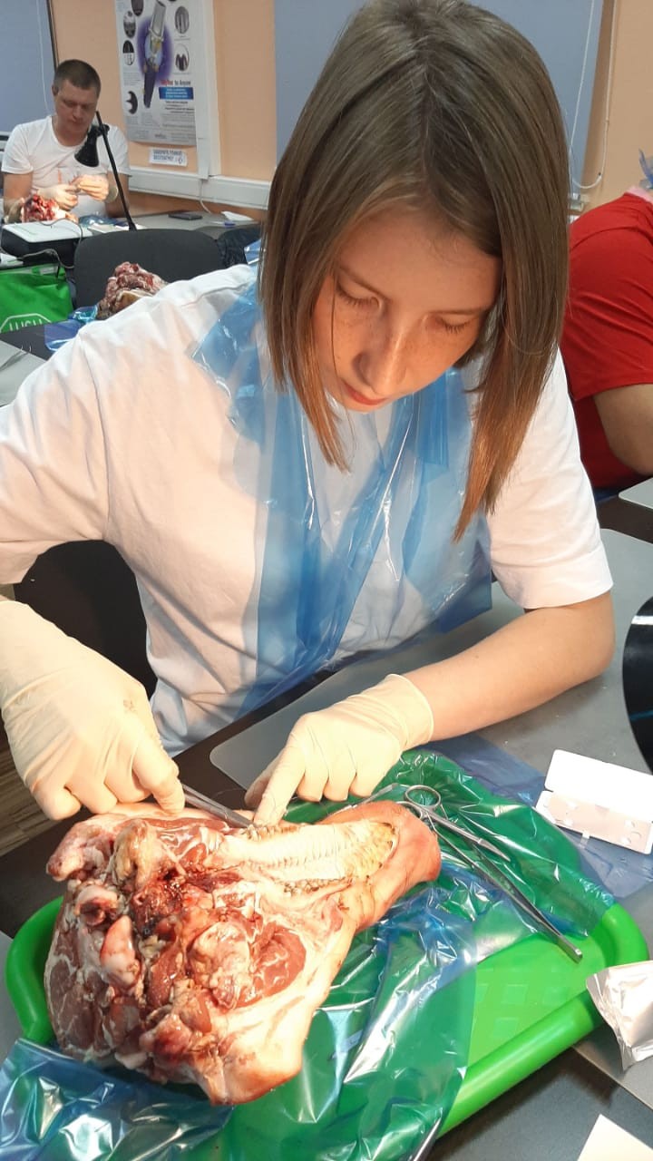 16-17 сентября 2020. Панцулая В.Г. Пластика мягких тканей вокруг имплантатов. Морфологический подход