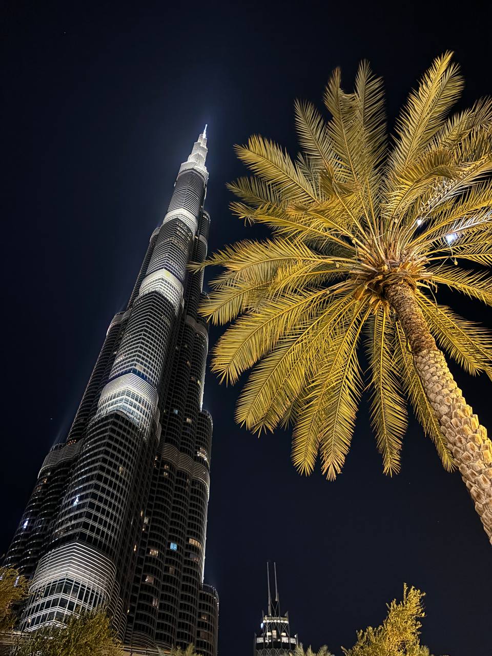 Деловая программа Дентал Гуру в ОАЭ 2024. Пост-релиз