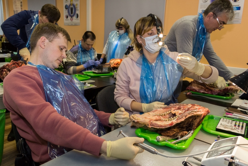 Одномоментная имплантация и немедленная нагрузка