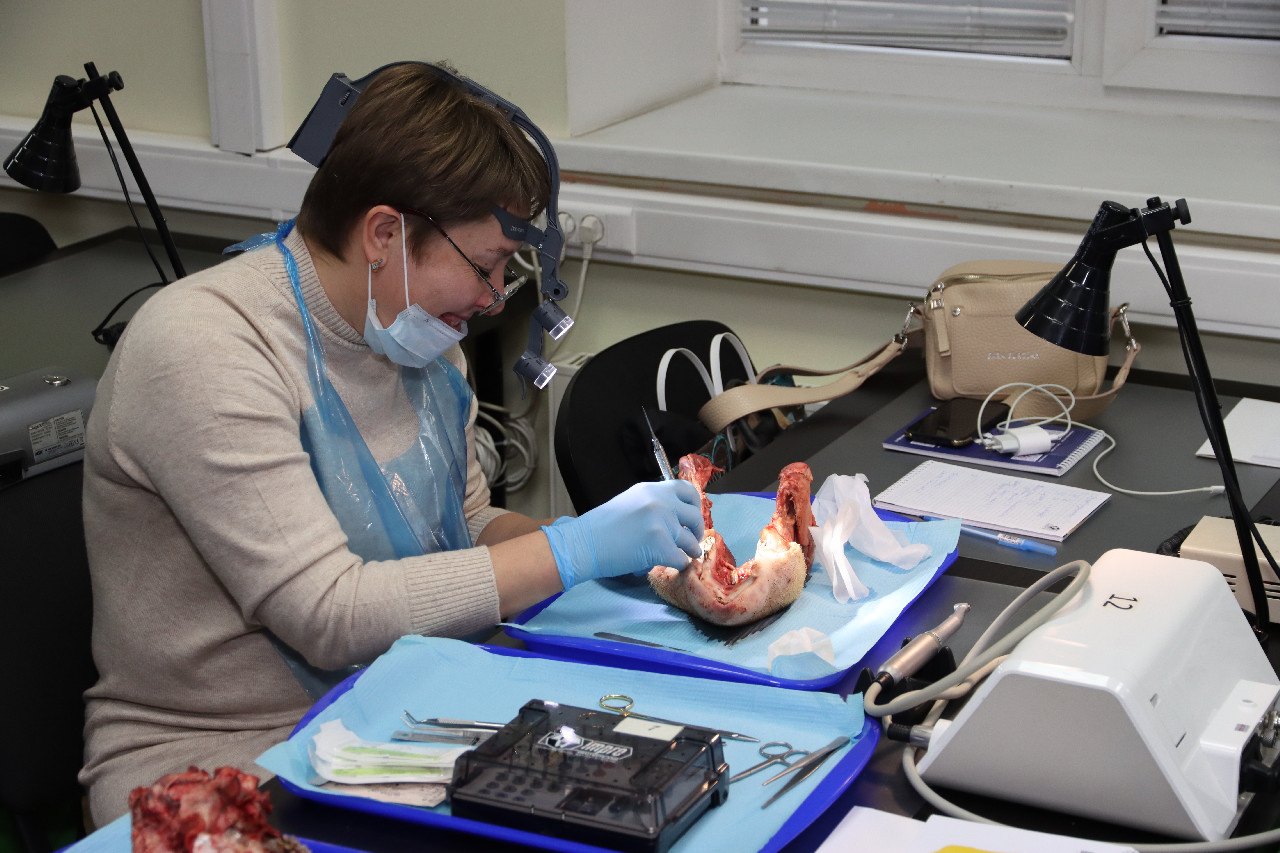 Продвинутый курс по пластике мягких тканей