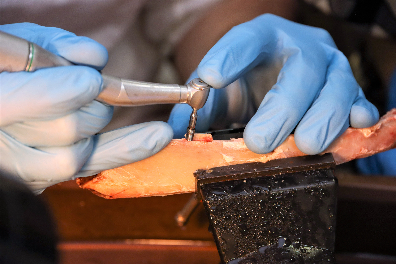 Продвинутый курс по имплантации. Костная пластика и синус-лифтинг