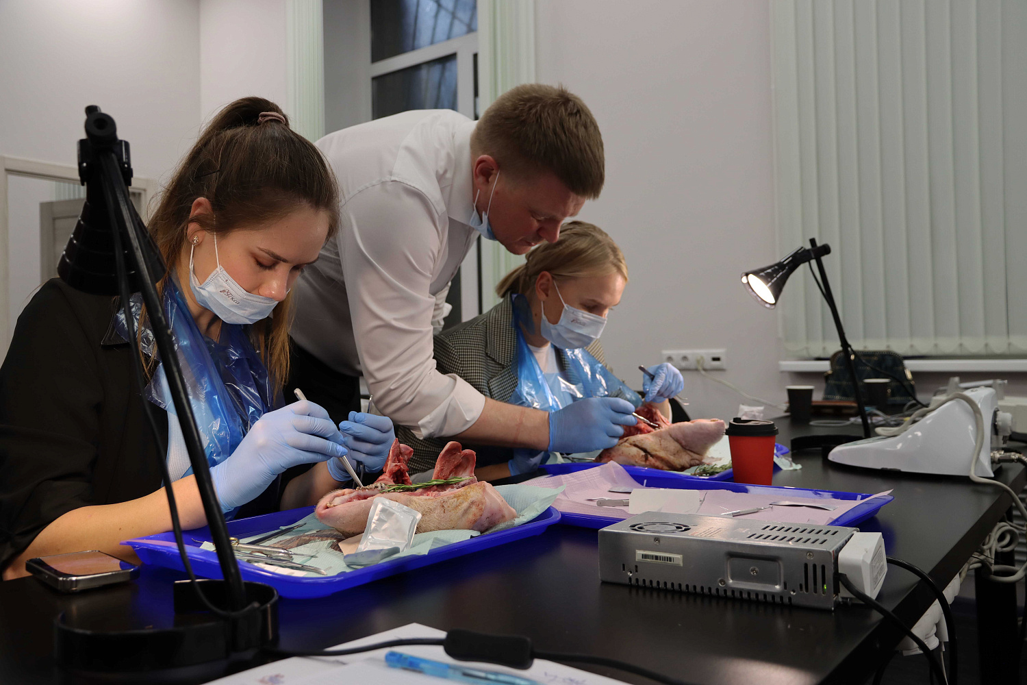 Продвинутый курс по пластике мягких тканей