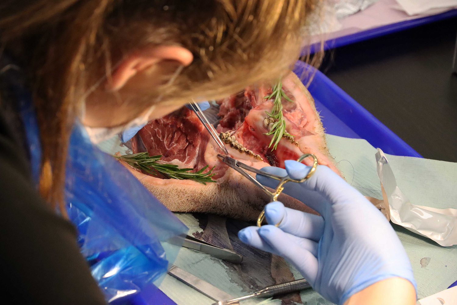 Продвинутый курс по пластике мягких тканей