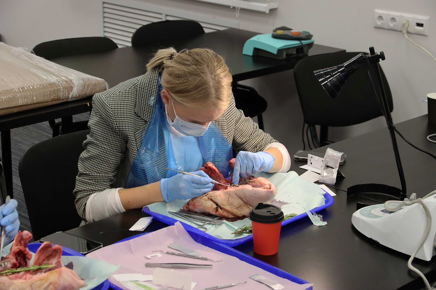 Продвинутый курс по пластике мягких тканей