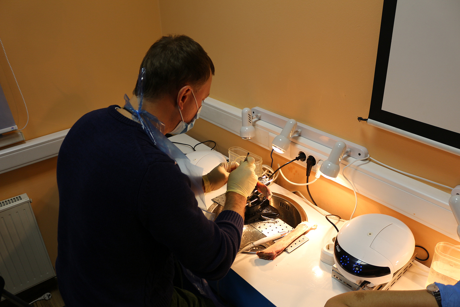 Продвинутый курс по имплантации. Костная пластика, 13-14 октября