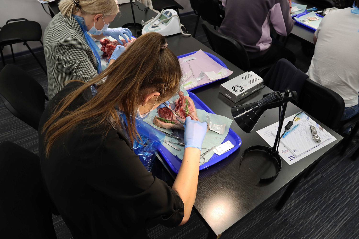 Продвинутый курс по пластике мягких тканей