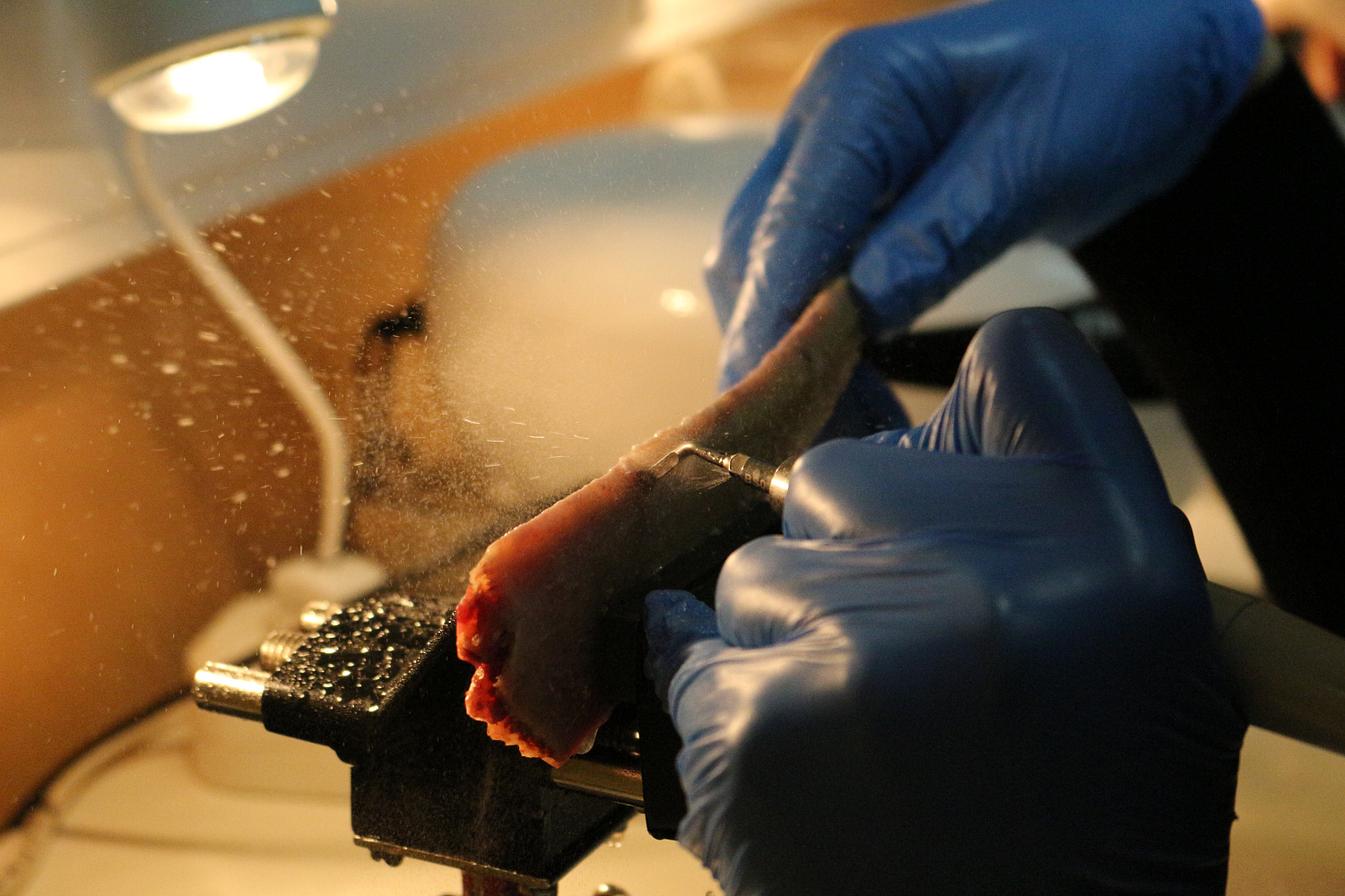 Продвинутый курс по имплантации. Костная пластика, 13-14 октября