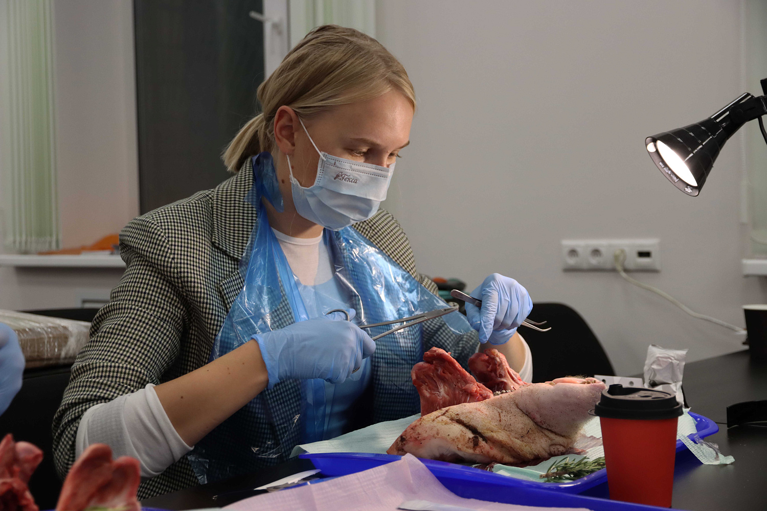 Продвинутый курс по пластике мягких тканей