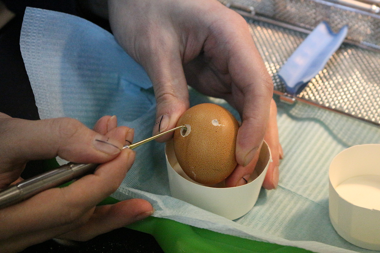 Продвинутый курс по имплантации. Пост-релиз 27-28 января