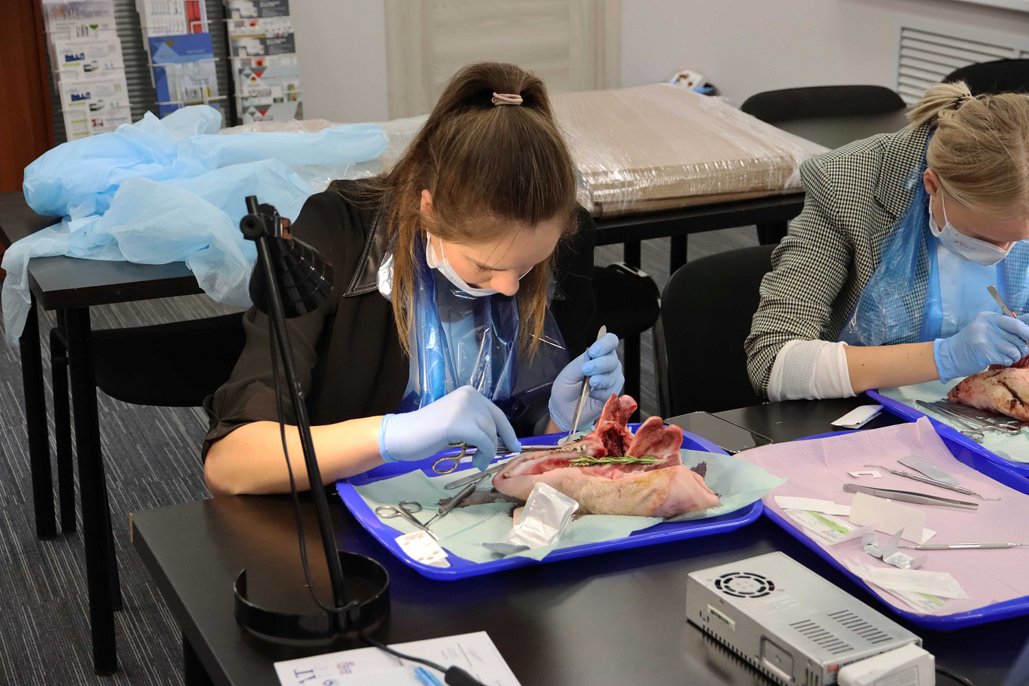 Продвинутый курс по пластике мягких тканей