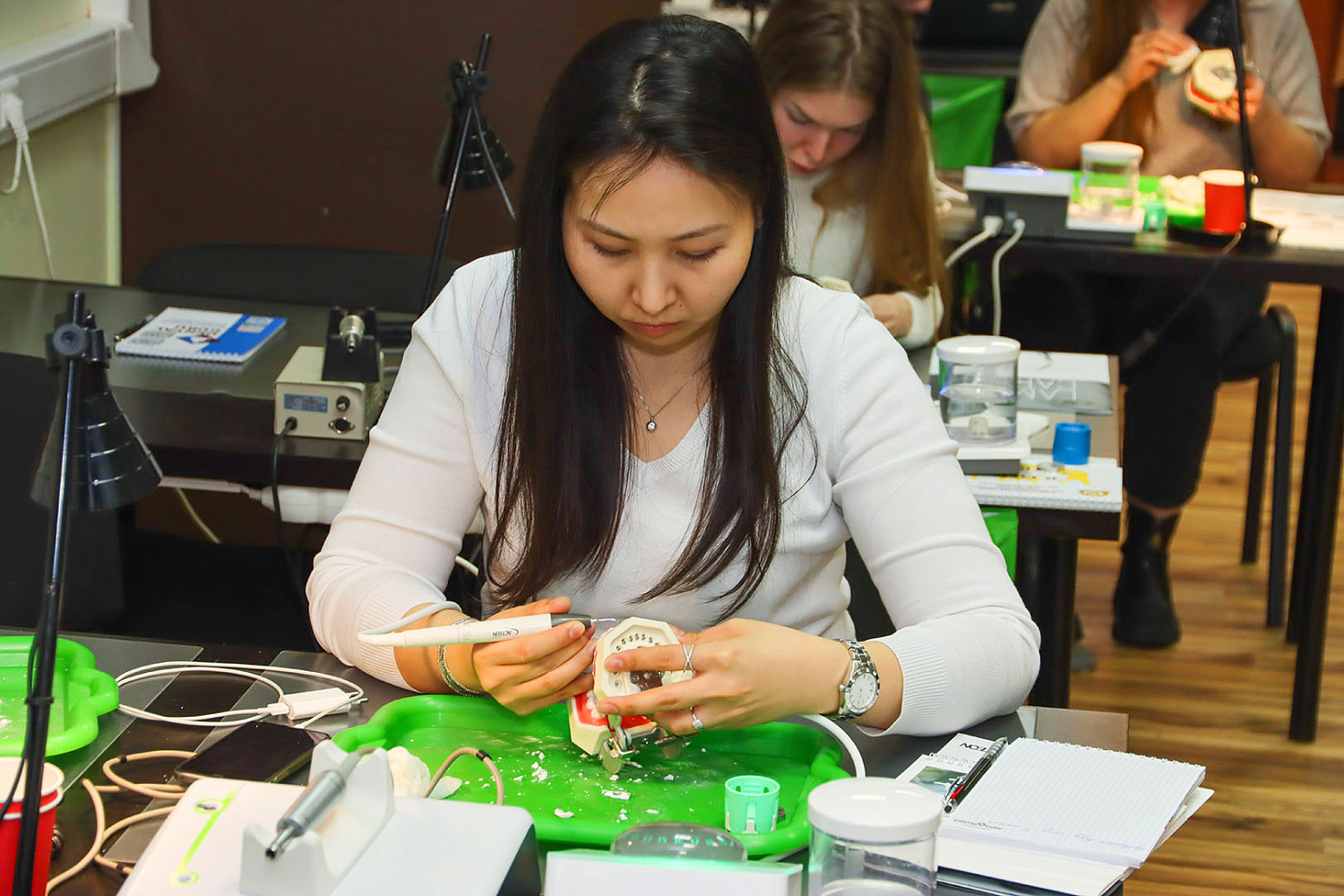 Принципы алгоритмизации при проведении профессиональной гигиены