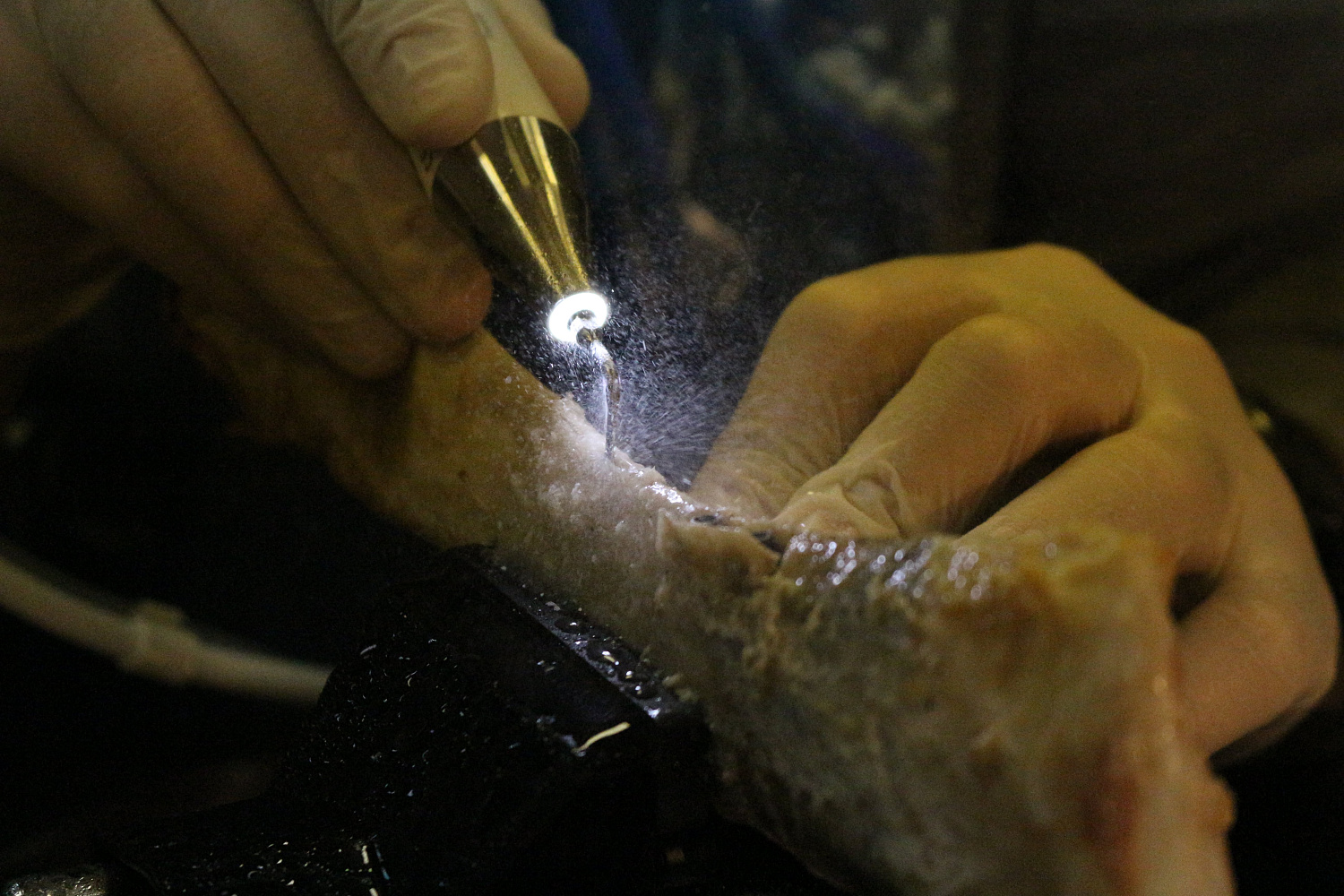 Продвинутый курс по имплантации. Костная пластика. Пост-релиз 10 и 11 марта