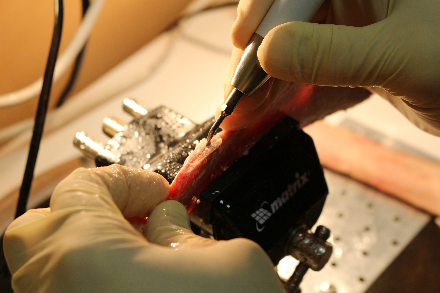 Продвинутый курс по имплантации. Костная пластика, 13-14 октября