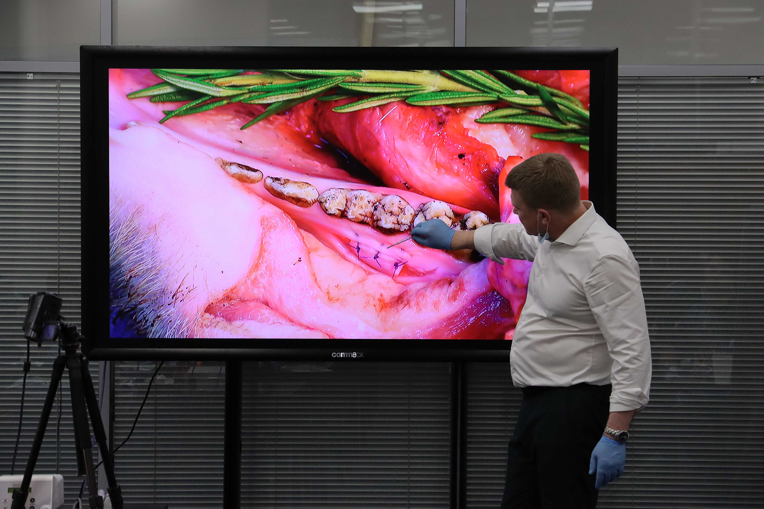 Продвинутый курс по пластике мягких тканей