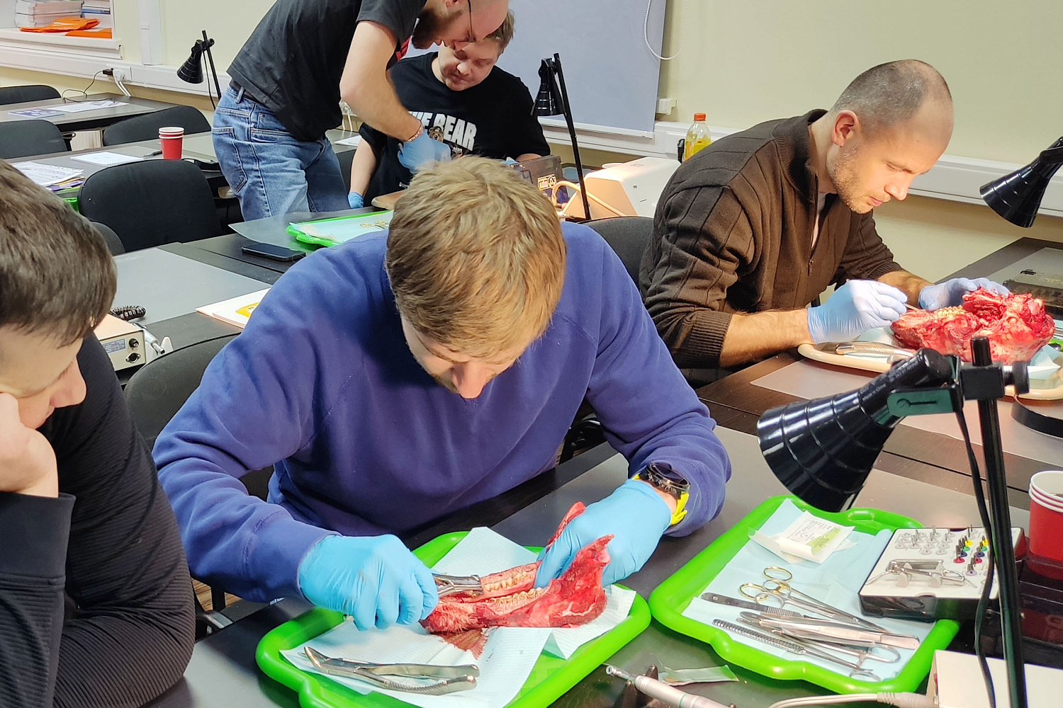 Одномоментная имплантация и немедленная нагрузка